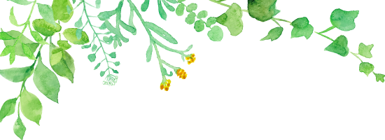 植物　イラスト